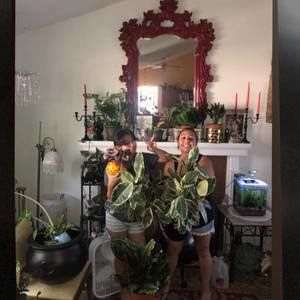 Meet your Posher, C rangel